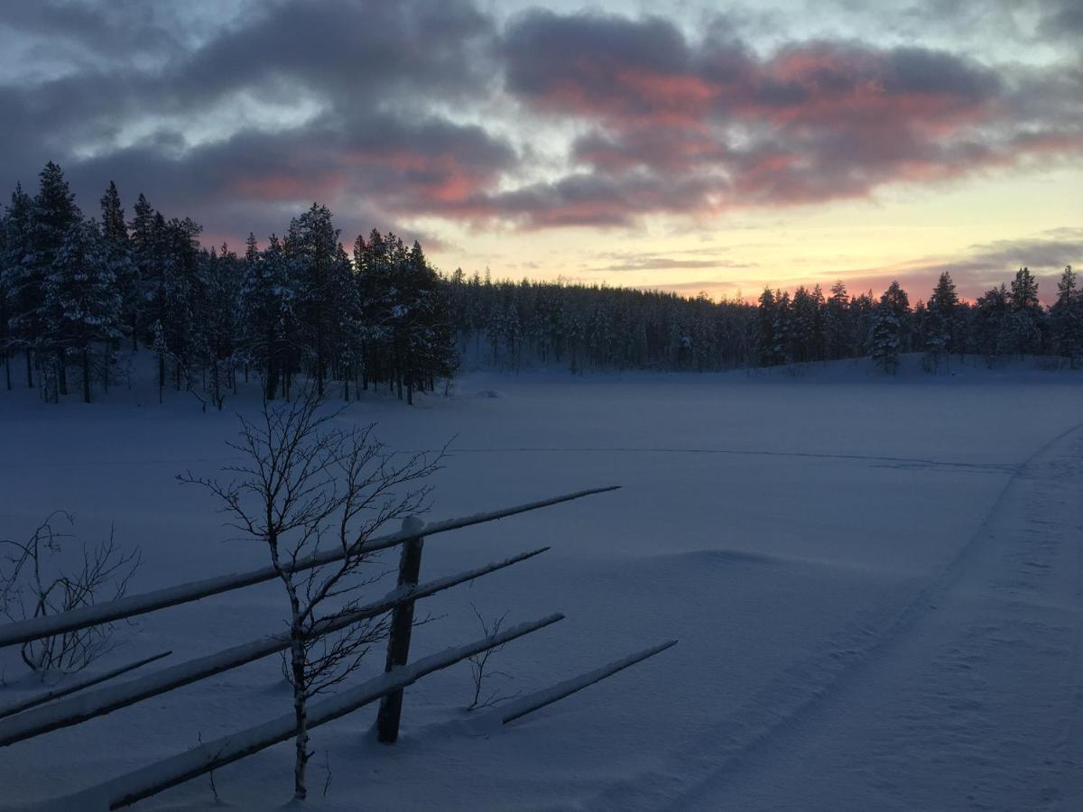 Arctic Hetan Kota